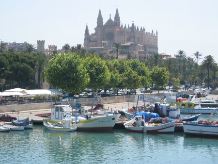 Palma
