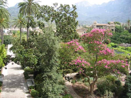 Botanischer Garten