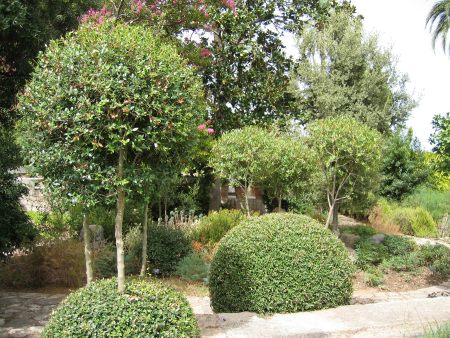 Botanischer Garten