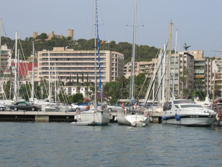 Palma