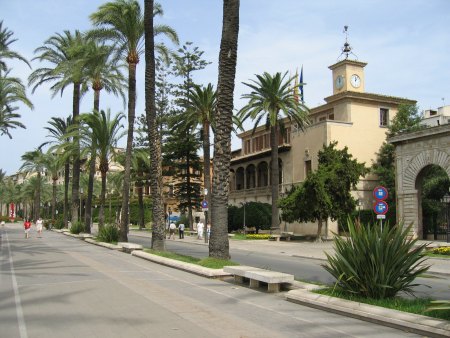 Palma