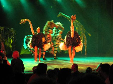 Son Amar Show